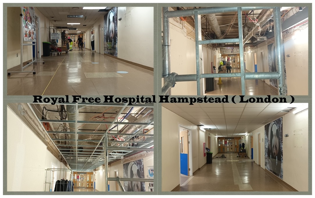Royal Free Hospital Hampstead ( London )
